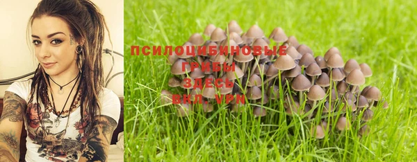прущие крисы Балахна