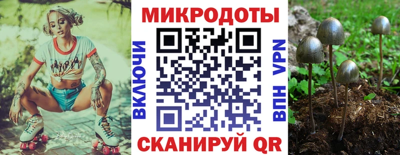 Галлюциногенные грибы GOLDEN TEACHER  наркошоп  Верея 